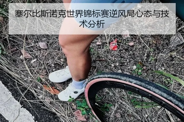 塞尔比斯诺克世界锦标赛逆风局心态与技术分析